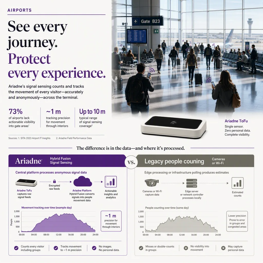 infographic that introduces the topic and why it matters, airports setting